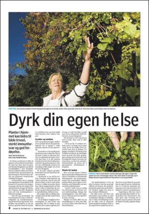 tonsbergsblad_bolig-20101020_000_00_00_004.pdf