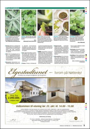 tonsbergsblad_bolig-20101020_000_00_00_005.pdf