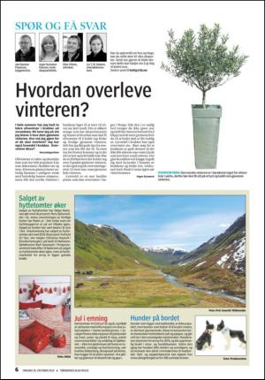 tonsbergsblad_bolig-20101020_000_00_00_006.pdf