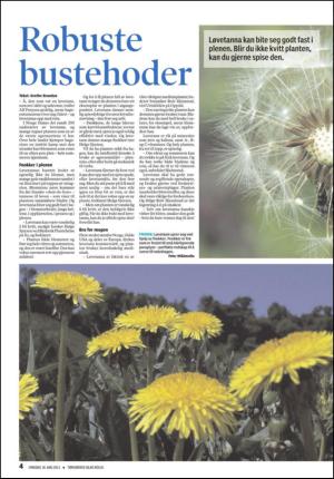 tonsbergsblad_bolig-20110518_000_00_00_004.pdf