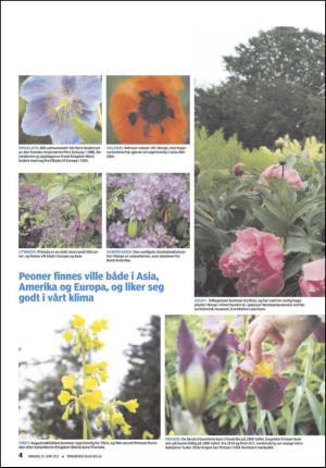 tonsbergsblad_bolig-20110629_000_00_00_004.pdf