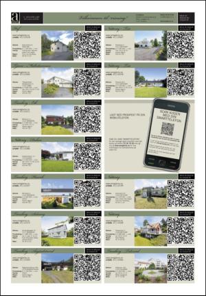 tonsbergsblad_bolig-20110831_000_00_00_017.pdf