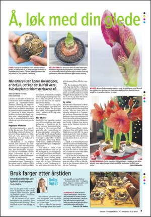 tonsbergsblad_bolig-20111102_000_00_00_007.pdf