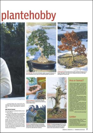 tonsbergsblad_bolig-20120125_000_00_00_007.pdf