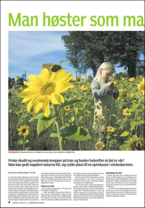 tonsbergsblad_bolig-20120502_000_00_00_004.pdf