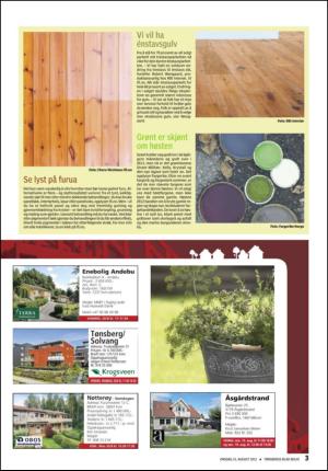 tonsbergsblad_bolig-20120815_000_00_00_003.pdf