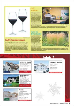 tonsbergsblad_bolig-20130130_000_00_00_003.pdf