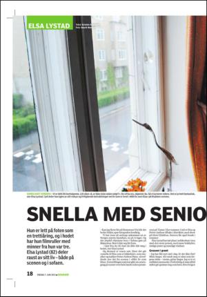 tonsbergsblad_bolig-20130607_000_00_00_018.pdf