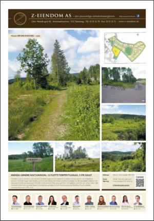 tonsbergsblad_bolig-20130626_000_00_00_020.pdf