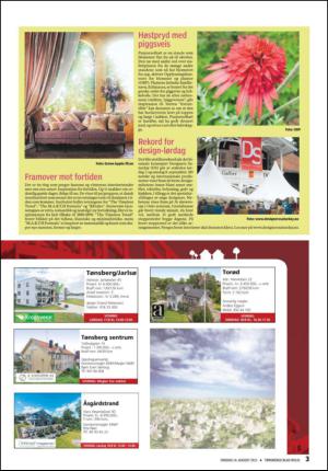 tonsbergsblad_bolig-20130814_000_00_00_003.pdf