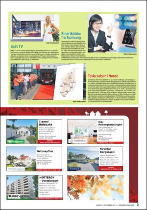 tonsbergsblad_bolig-20130911_000_00_00_003.pdf