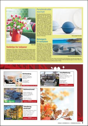 tonsbergsblad_bolig-20131113_000_00_00_003.pdf