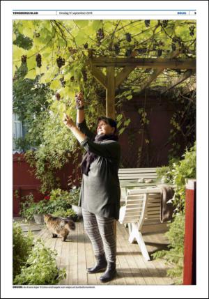 tonsbergsblad_bolig-20140917_000_00_00_005.pdf
