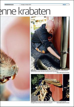 tonsbergsblad_bolig-20141001_000_00_00_007.pdf