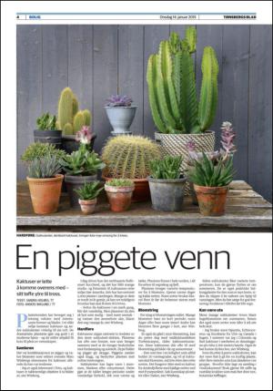 tonsbergsblad_bolig-20150114_000_00_00_004.pdf