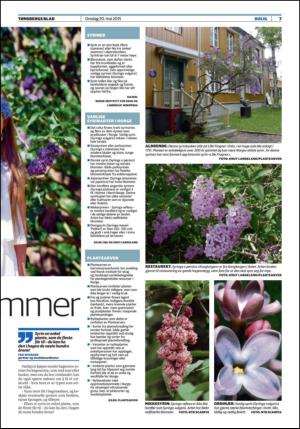 tonsbergsblad_bolig-20150520_000_00_00_007.pdf