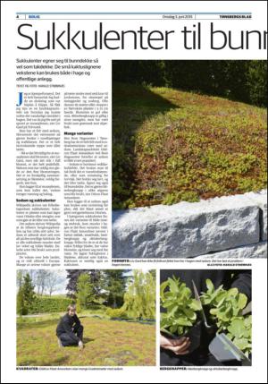 tonsbergsblad_bolig-20150603_000_00_00_004.pdf