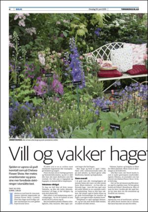 tonsbergsblad_bolig-20150610_000_00_00_004.pdf