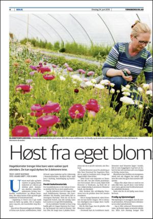 tonsbergsblad_bolig-20150624_000_00_00_004.pdf