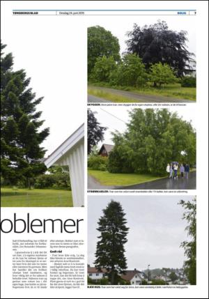 tonsbergsblad_bolig-20150624_000_00_00_007.pdf