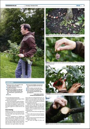 tonsbergsblad_bolig-20151007_000_00_00_007.pdf