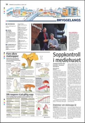 tonsbergsblad_del2-20070822_000_00_00_016.pdf