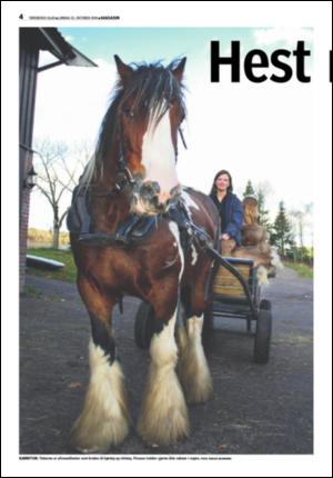 tonsbergsblad_del2-20081025_000_00_00_004.pdf