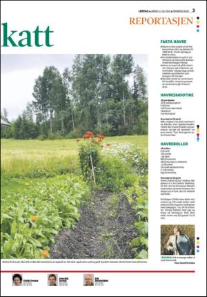 tonsbergsblad_del2-20100731_000_00_00_003.pdf