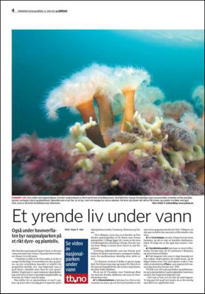 tonsbergsblad_del2-20130615_000_00_00_004.pdf