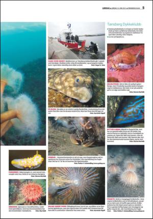 tonsbergsblad_del2-20130615_000_00_00_005.pdf