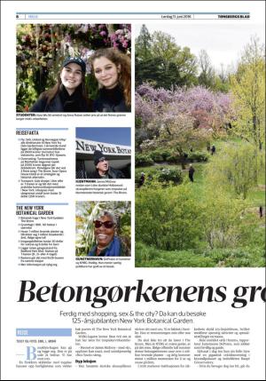 tonsbergsblad_del2-20160611_000_00_00_008.pdf