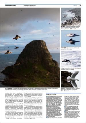 tonsbergsblad_del2-20170128_000_00_00_013.pdf