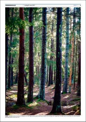 tonsbergsblad_del2-20170318_000_00_00_005.pdf