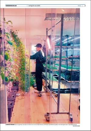 tonsbergsblad_del2-20200328_000_00_00_003.pdf