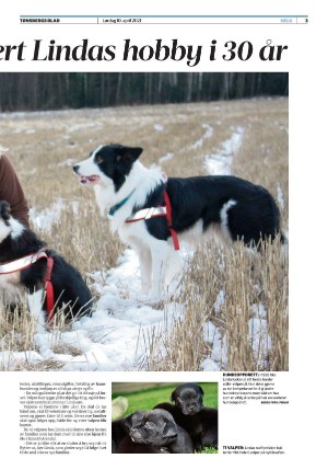 tonsbergsblad_del2-20210410_000_00_00_003.pdf