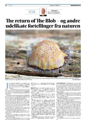 tonsbergsblad_del2-20210522_000_00_00_024.pdf