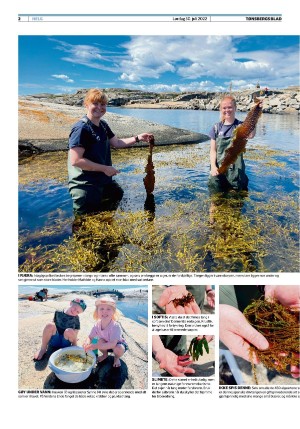 tonsbergsblad_del2-20220730_000_00_00_002.pdf