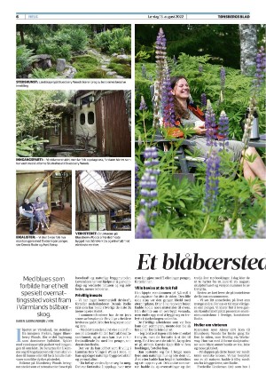 tonsbergsblad_del2-20220813_000_00_00_006.pdf