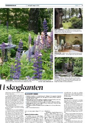 tonsbergsblad_del2-20220813_000_00_00_007.pdf