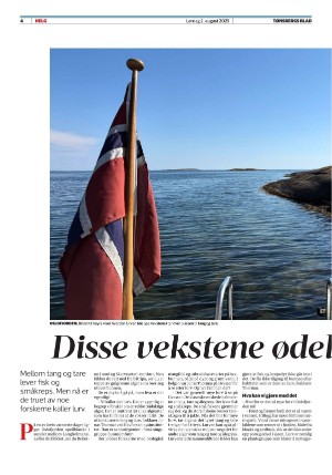 tonsbergsblad_del2-20250802_000_00_00_004.pdf
