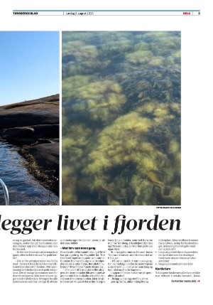 tonsbergsblad_del2-20250802_000_00_00_005.pdf