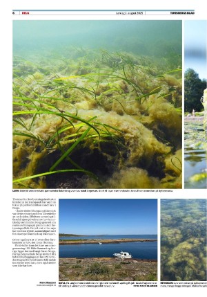 tonsbergsblad_del2-20250802_000_00_00_006.pdf