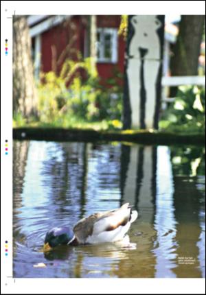 tonsbergsblad_magasin-20070602_000_00_00_014.pdf