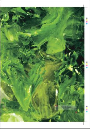 tonsbergsblad_magasin-20070714_000_00_00_007.pdf