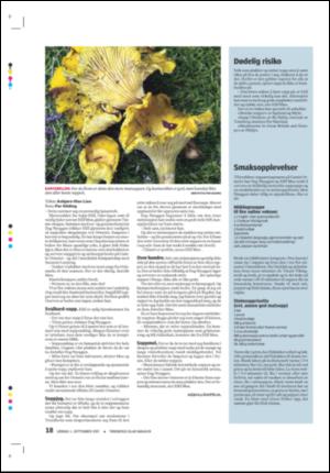 tonsbergsblad_magasin-20070901_000_00_00_018.pdf