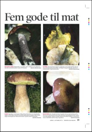 tonsbergsblad_magasin-20070901_000_00_00_019.pdf