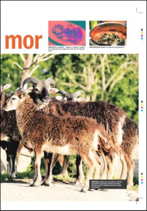 tonsbergsblad_magasin-20071013_000_00_00_025.pdf