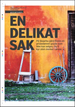 tonsbergsblad_magasin-20071027_000_00_00_004.pdf