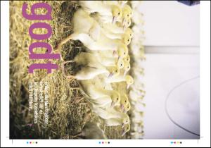 tonsbergsblad_magasin-20071110_000_00_00_023.pdf
