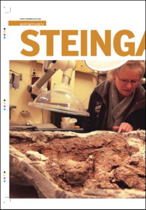 tonsbergsblad_magasin-20071201_000_00_00_004.pdf